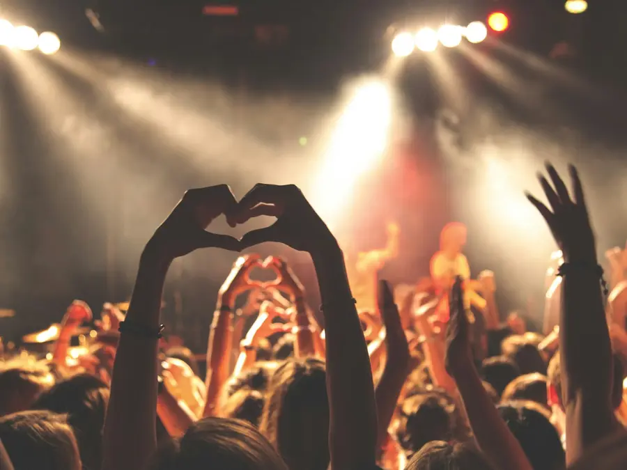 Crowd with hands in the air at a live concert